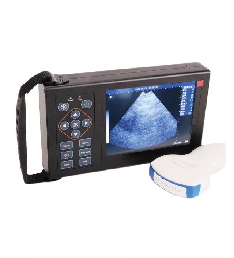 Sipert 獸用B超測孕儀（電子探頭）