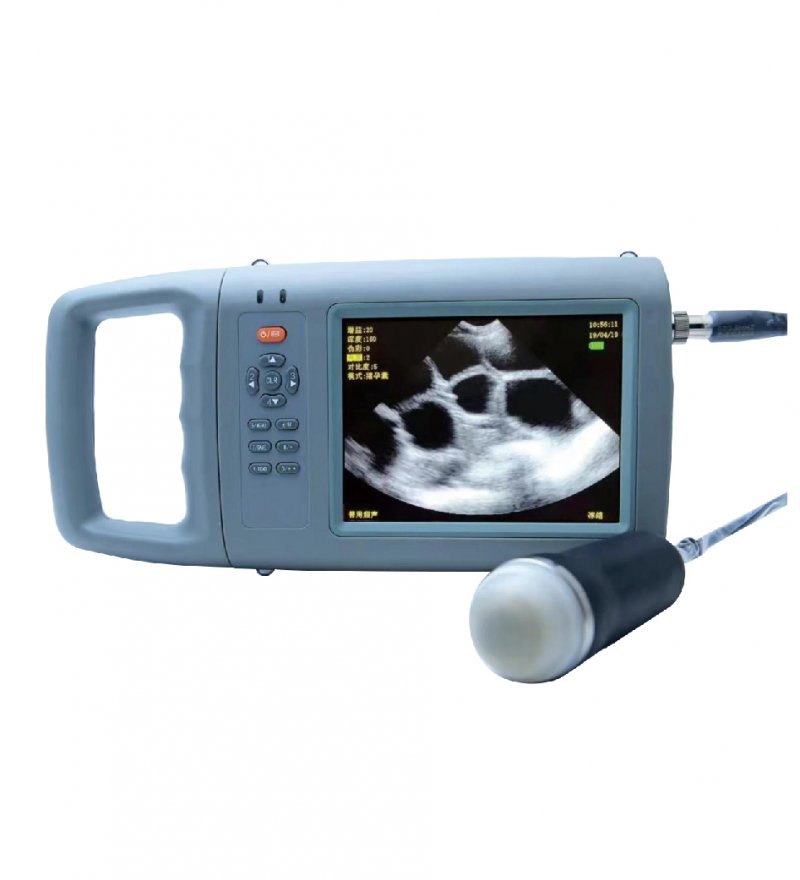 Sipert 獸用B超測孕儀（機(jī)械探頭） 